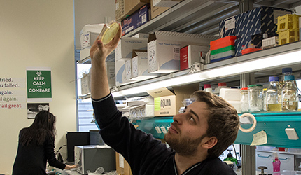 A man is seen holding up a petri dish in a lab environment, with someone else working in the background.